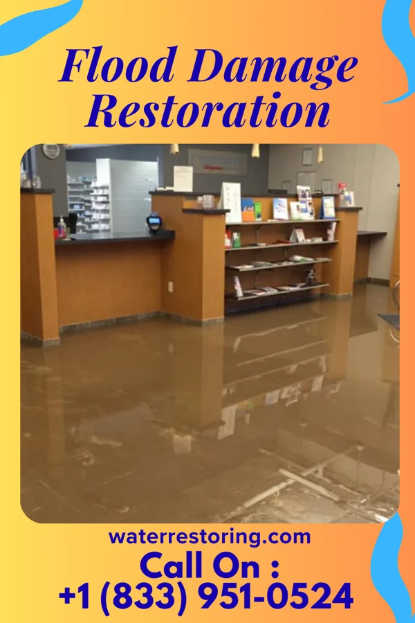 Flood Damage Restoration in Afton, WY